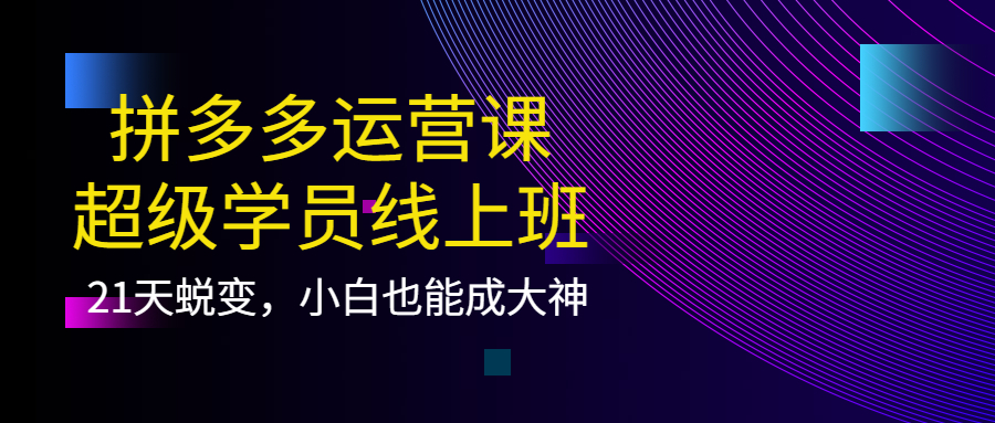 拼多多运营课：超级学员线上班，21天蜕变，小白也能成大神-即时风口网