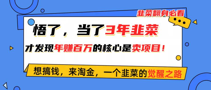 悟了，当了3年韭菜，才发现网赚圈年赚100万的核心是卖项目，含泪分享！-即时风口网