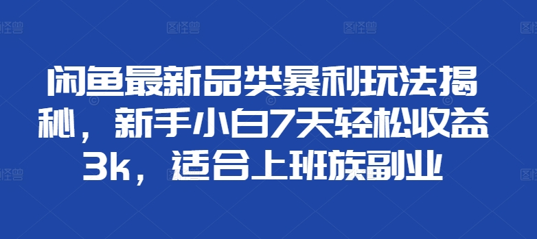 闲鱼最新品类暴利玩法揭秘，新手小白7天轻松赚3000+，适合上班族副业-即时风口网