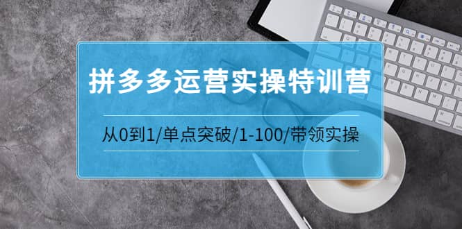 拼多多运营实操特训营：从0到1/单点突破/1-100/带领实操 价值2980元-即时风口网