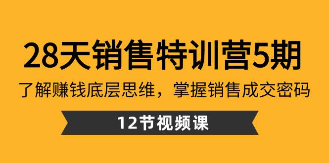 28天·销售特训营5期：了解赚钱底层思维，掌握销售成交密码（12节课）-即时风口网