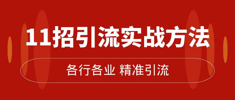 精准引流术：11招引流实战方法，让你私域流量加到爆（11节课完整版）-即时风口网