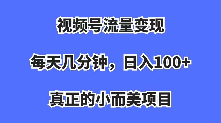 视频号流量变现，每天几分钟，收入100+，真正的小而美项目-即时风口网