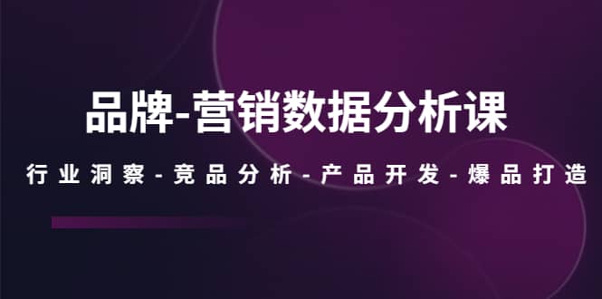 品牌-营销数据分析课，行业洞察-竞品分析-产品开发-爆品打造-即时风口网