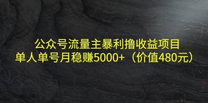 公众号流量主暴利撸收益项目，单人单号月稳赚5000+（价值480元）-即时风口网