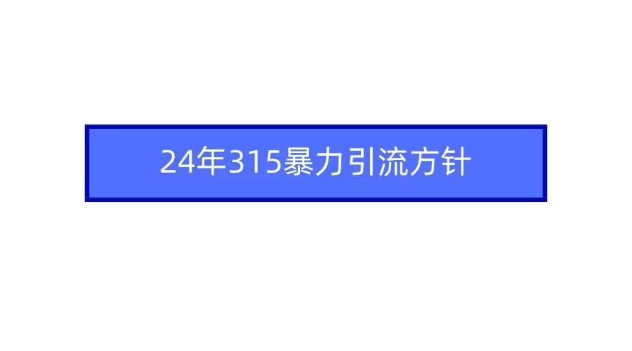 2024年315暴力引流方针-即时风口网