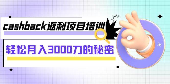 cashback返利项目培训：轻松月入3000刀的秘密（8节课）-即时风口网