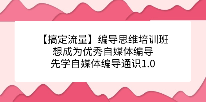 【搞定流量】编导思维培训班，想成为优秀自媒体编导先学自媒体编导通识1.0-即时风口网