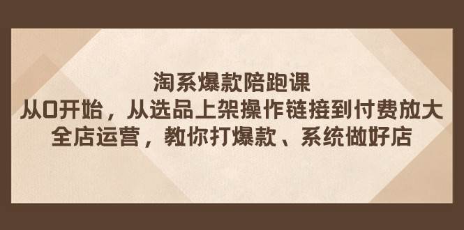 淘系爆款陪跑课 从选品上架操作链接到付费放大 全店运营 打爆款 系统做好店-即时风口网