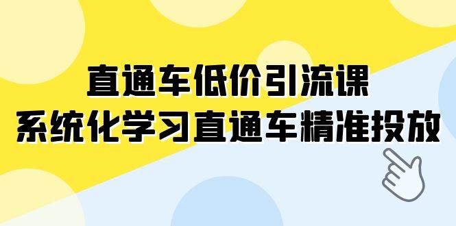 直通车-低价引流课，系统化学习直通车精准投放（14节课）-即时风口网