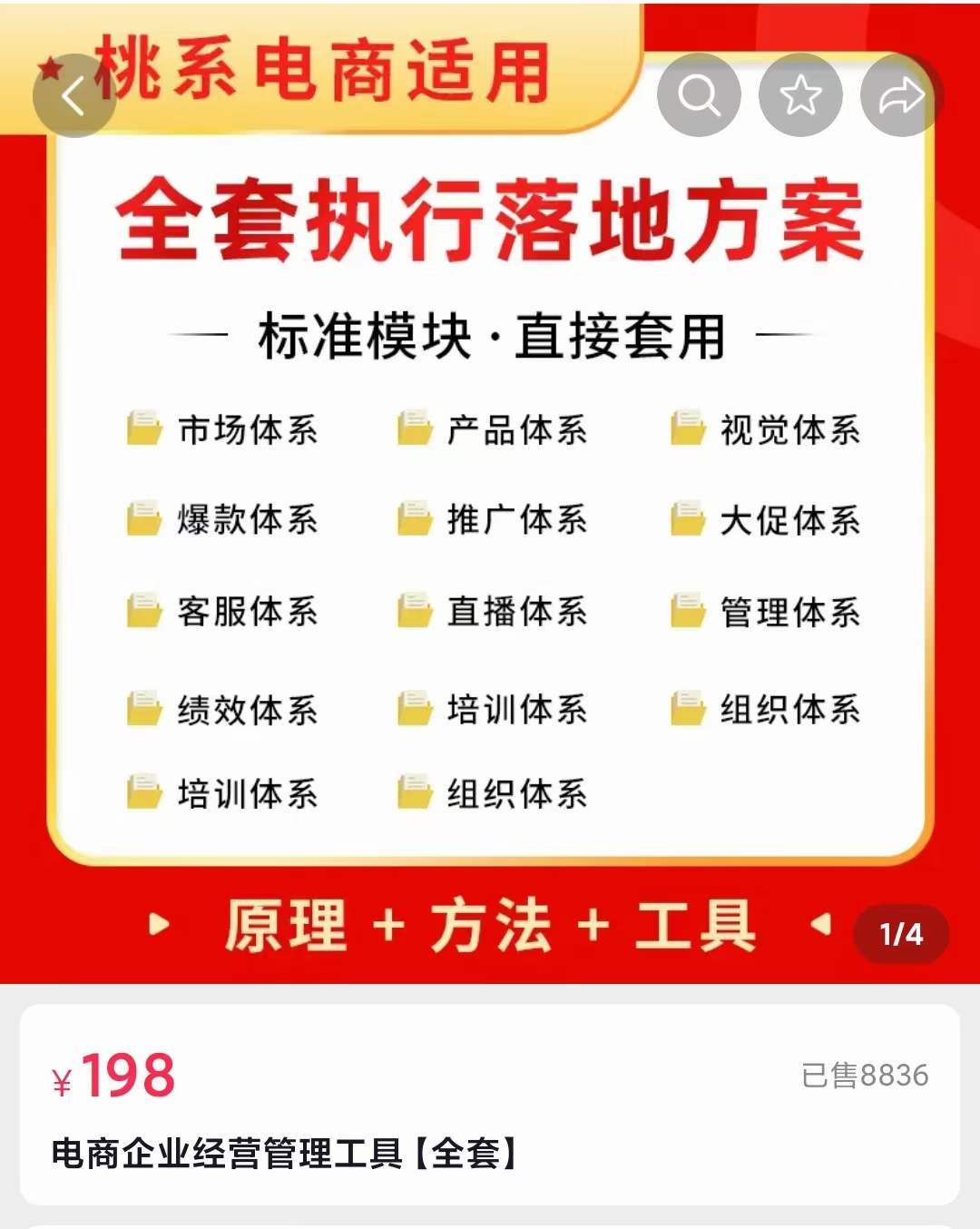 外面卖198·电商企业经营管理工具：全套执行落地方案 标准模块·直接套用-即时风口网