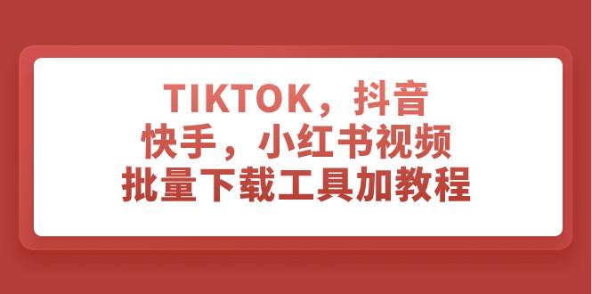 TIKTOK，抖音，快手，小红书视频批量下载工具加教程-即时风口网