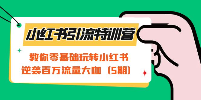 小红书引流特训营-第5期：教你零基础玩转小红书，逆袭百万流量大咖-即时风口网