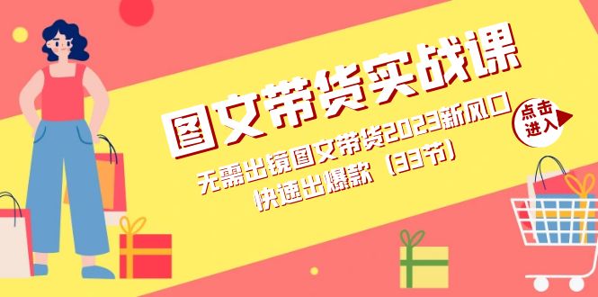 图文带货实战课：无需出镜图文带货2023新风口，快速出爆款（33节）-即时风口网