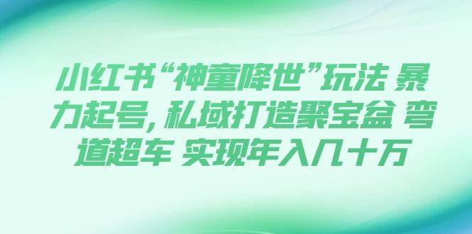 小红书“神童降世”玩法 暴力起号,私域打造聚宝盆 弯道超车 实现年入几十万-即时风口网