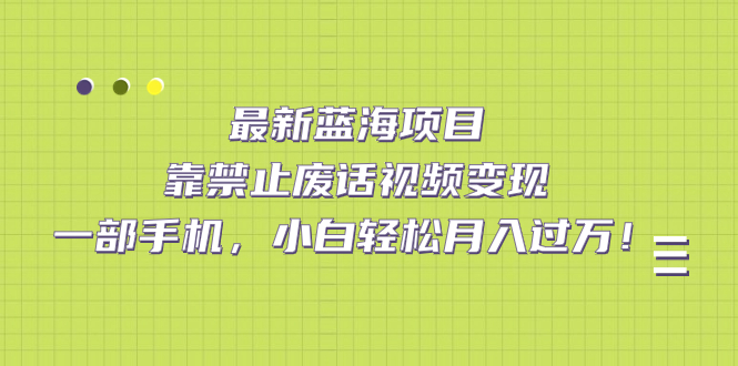 最新蓝海项目，靠禁止废话视频变现，一部手机，小白轻松月入过万！-即时风口网