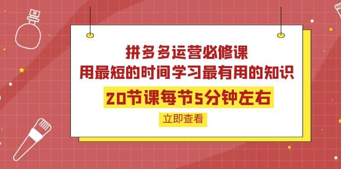 拼多多运营必修课：20节课每节5分钟左右，用最短的时间学习最有用的知识-即时风口网