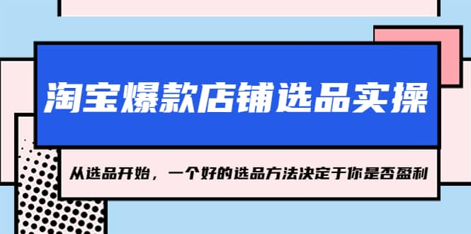 淘宝爆款店铺选品实操，2023从选品开始，一个好的选品方法决定于你是否盈利-即时风口网