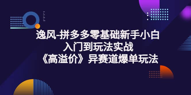 拼多多零基础新手小白入门到玩法实战《高溢价》异赛道爆单玩法实操课-即时风口网