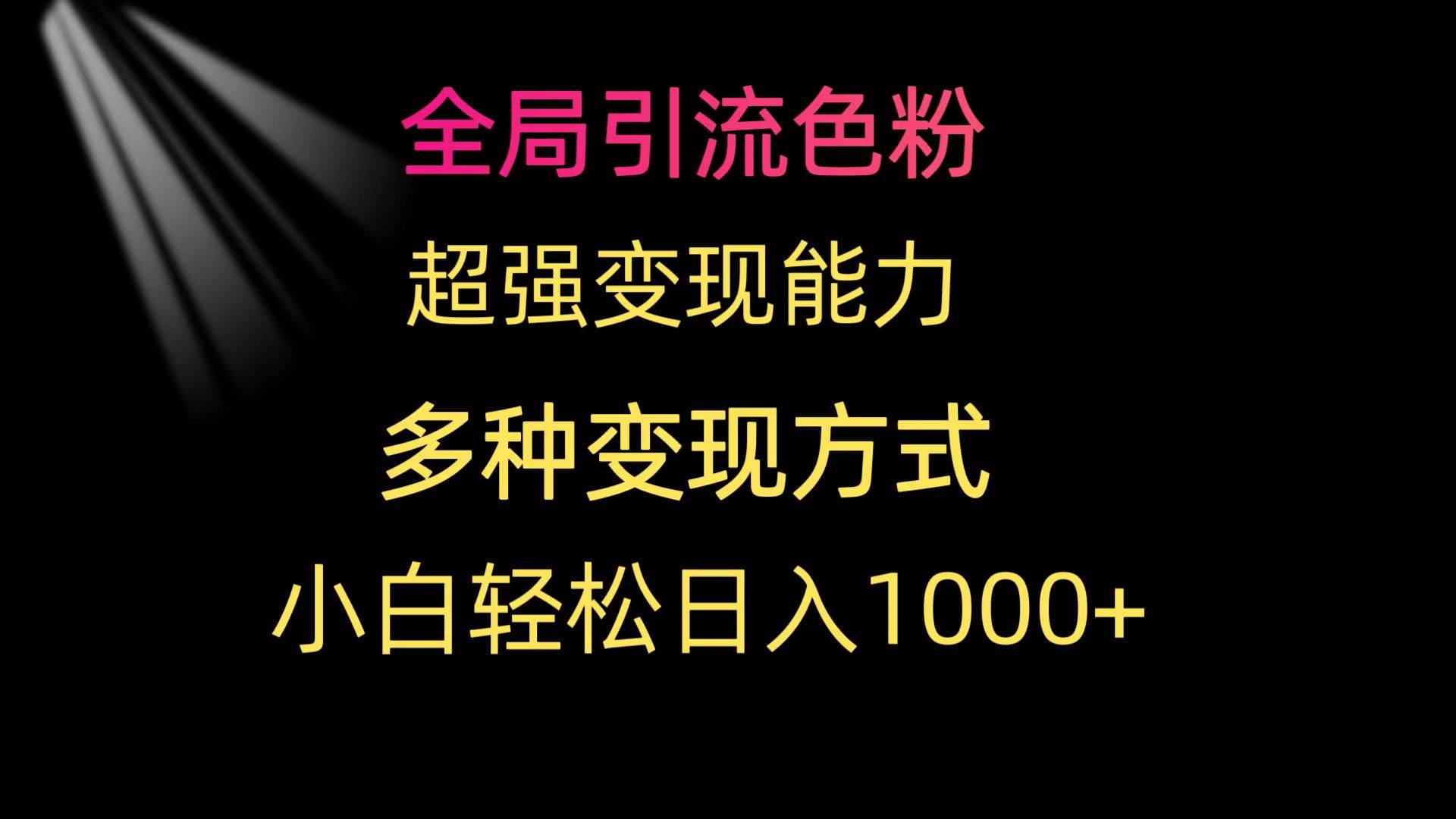 全局引流色粉 超强变现能力 多种变现方式 小白轻松日入1000+-即时风口网