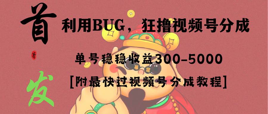 全网独家首发，视频号BUG，超短期项目，单号每日净收益300-5000！-即时风口网