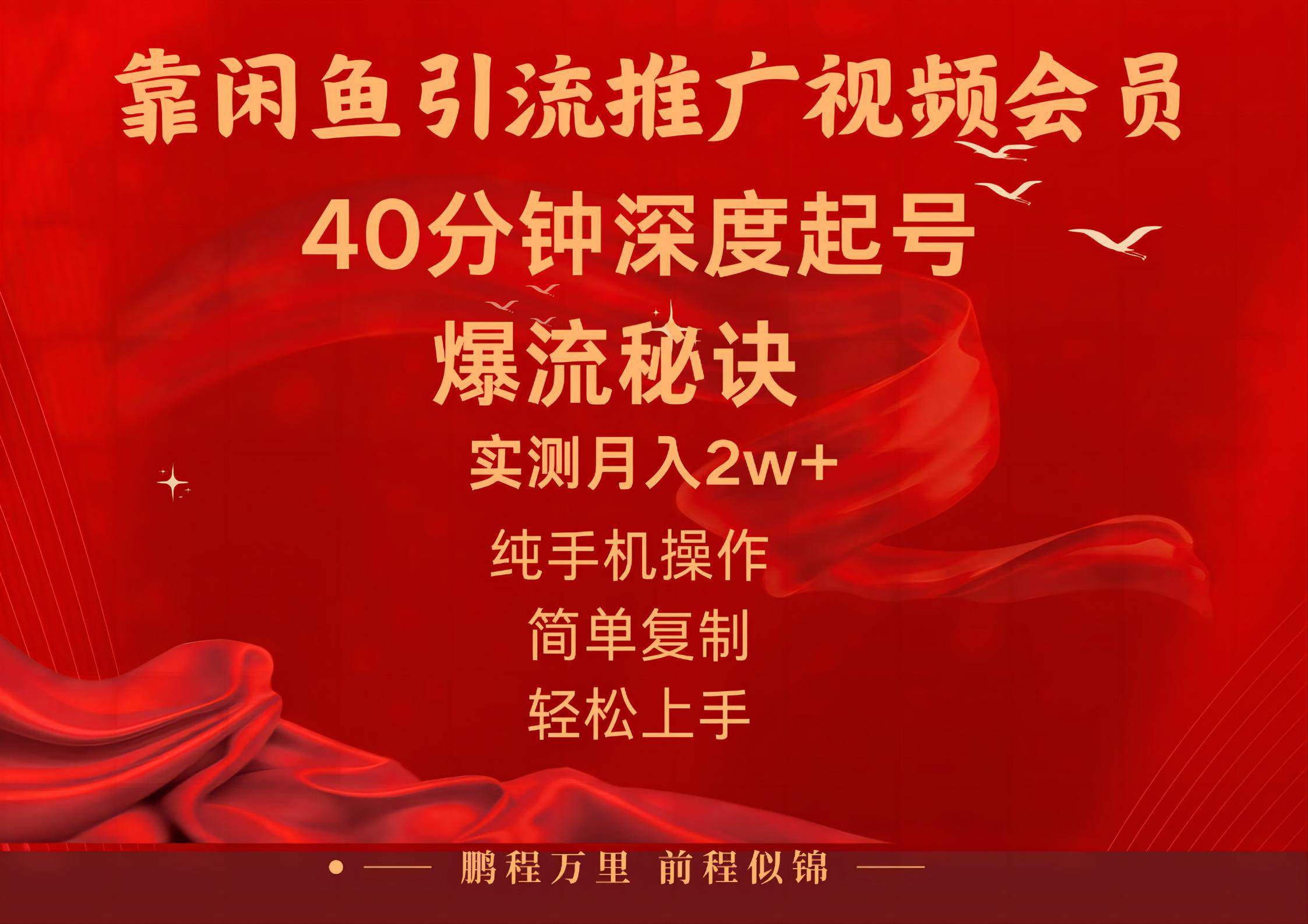 闲鱼暴力引流推广视频会员，能做到日入2W+，操作简单-即时风口网