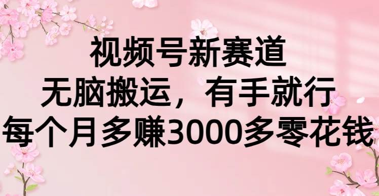 视频号新赛道，无脑搬运，有手就行，每个月多赚3000多零花钱-即时风口网