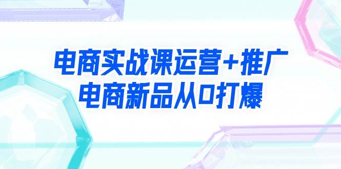 电商实战课运营+推广，电商新品从0打爆（99节视频课）-即时风口网