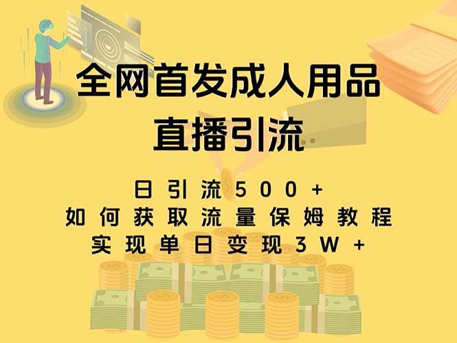 最新全网独创首发，成人用品直播引流获客暴力玩法，单日变现3w保姆级教程-即时风口网