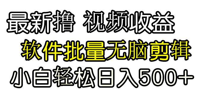 发视频撸收益，软件无脑批量剪辑，第一天发第二天就有钱-即时风口网