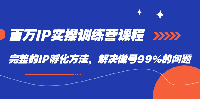 百万IP实战训练营课程，完整的IP孵化方法，解决做号99%的问题-即时风口网