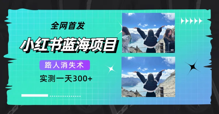 全网首发，小红书蓝海项目，路人消失术，实测一天300+（教程+工具）-即时风口网