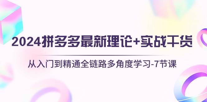 2024拼多多 最新理论+实战干货，从入门到精通全链路多角度学习-7节课-即时风口网