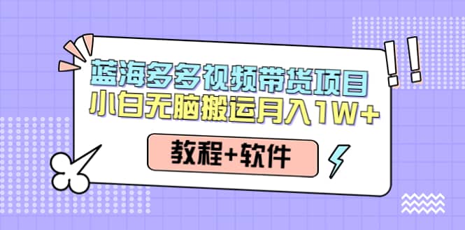 人人都能操作的蓝海多多视频带货项目 小白无脑搬运（教程+软件）-即时风口网