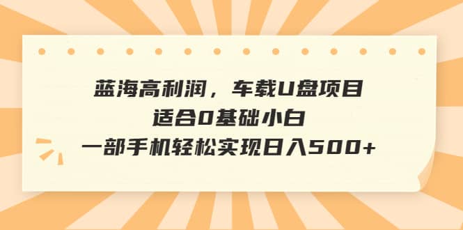 蓝海高利润，车载U盘项目，适合0基础小白，一部手机轻松实现日入500+-即时风口网