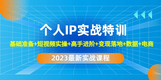 2023个人IP实战特训：基础准备+短视频实操+高手进阶+变现落地+数据+电商-即时风口网