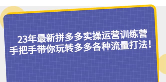 23年最新拼多多实操运营训练营：手把手带你玩转多多各种流量打法！-即时风口网