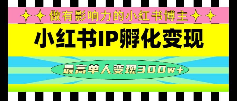 某收费培训-小红书IP孵化变现：做有影响力的小红书博主-即时风口网