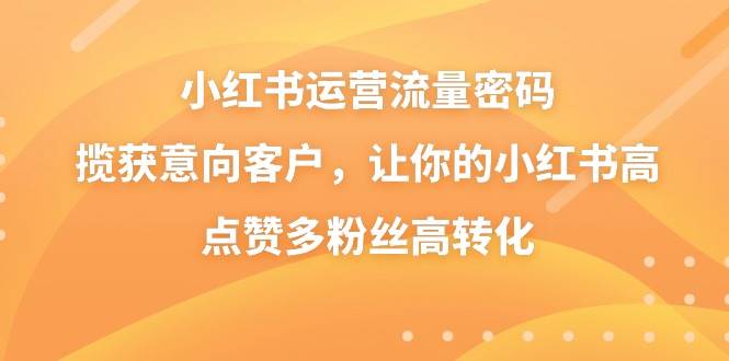 小红书运营流量密码，揽获意向客户，让你的小红书高点赞多粉丝高转化-即时风口网