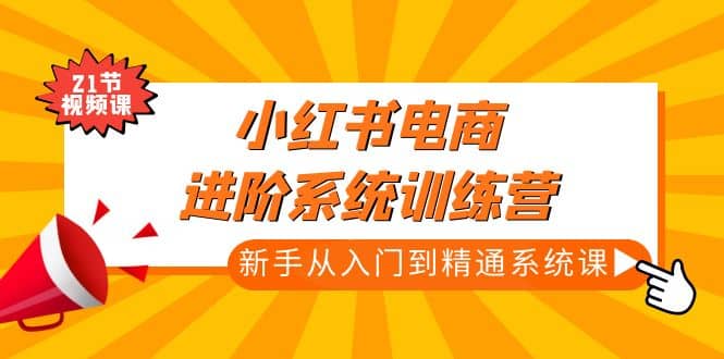 小红书电商进阶系统训练营：新手从入门到精通系统课（21节视频课）-即时风口网