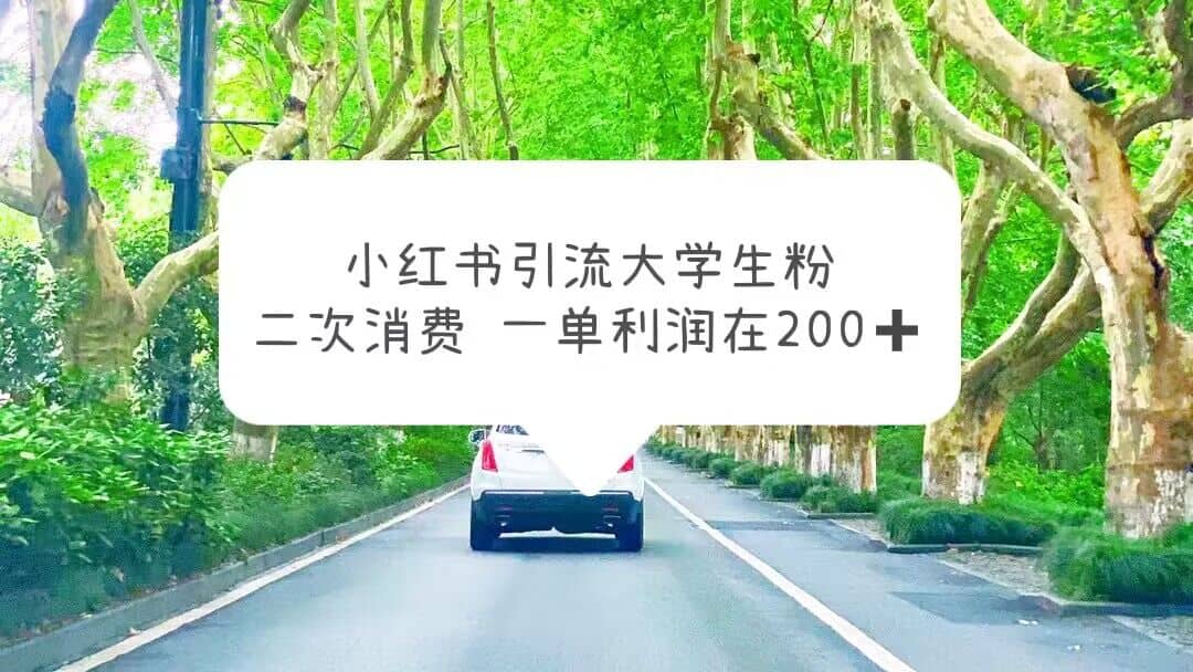 小红书引流大学生粉，变现项目，一单利润在200+（教程+资源）-即时风口网