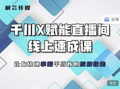 枫芸传媒-线上千川提升课，提升千川认知，提升千川投放效果-即时风口网