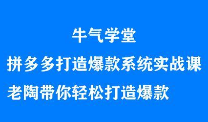 牛气学堂拼多多打造爆款系统实战课，老陶带你轻松打造爆款-即时风口网