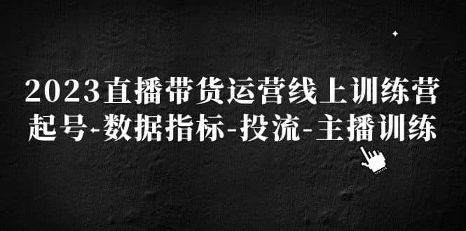 2023直播带货运营线上训练营，起号-数据指标-投流-主播训练-即时风口网