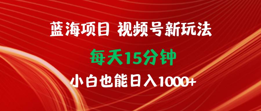 蓝海项目视频号新玩法 每天15分钟 小白也能日入1000+-即时风口网