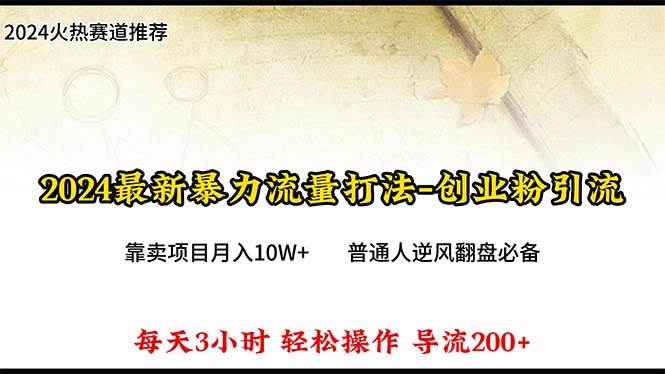 2024年最新暴力流量打法，每日导入300+，靠卖项目月入10W+-即时风口网