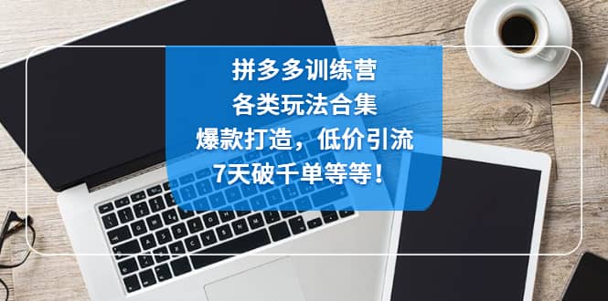 拼多多训练营：各玩法合集，爆款打造，低价引流，7天破千单等等-即时风口网