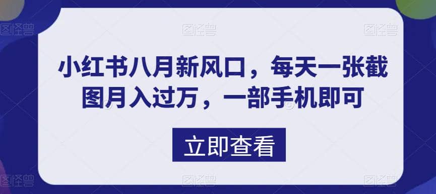 八月新风口，小红书虚拟项目一天收入1000+，实战揭秘-即时风口网