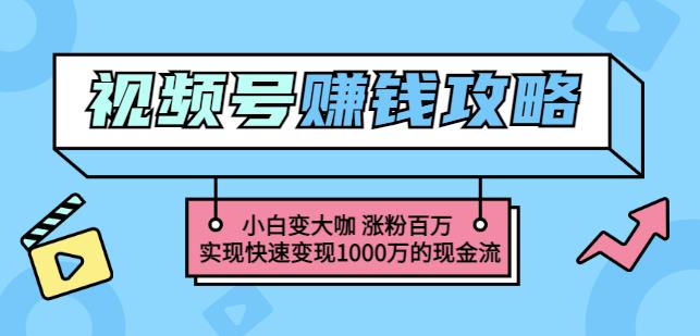 玩转微信视频号赚钱：小白变大咖涨粉百万实现快速变现1000万的现金流-即时风口网