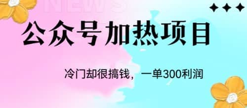 冷门公众号加热项目，一单利润300+-即时风口网